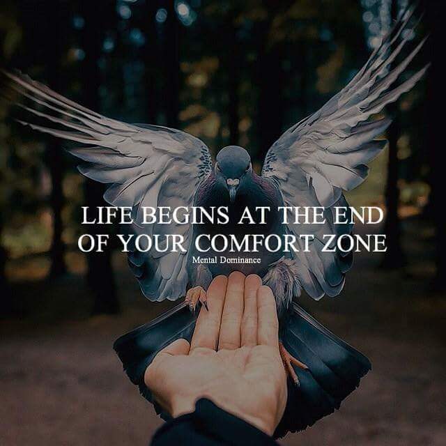 lifebegins